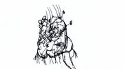 Image codes are temporarily obliterated